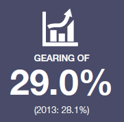 Gearing 29.0% (2013: 28.1%)